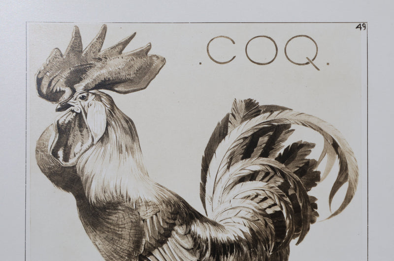 Mathurin MEHEUT : Le Coq, Lithographie signée