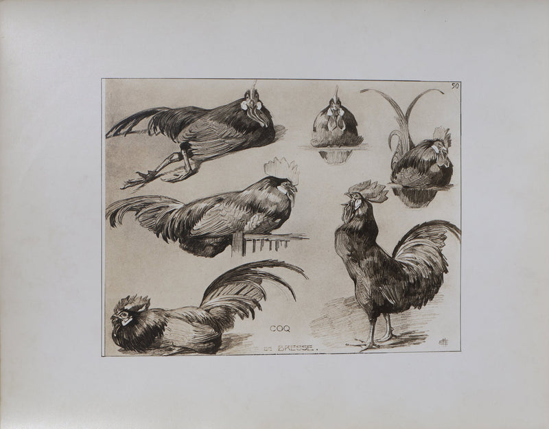 Mathurin MEHEUT : Le Coq, Lithographie signée