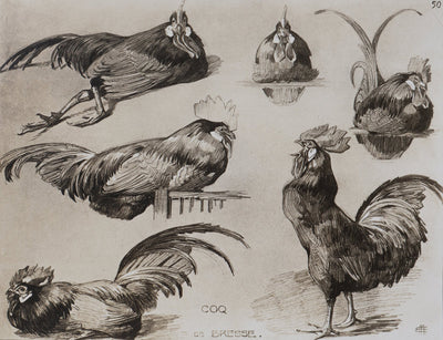 Mathurin MEHEUT : Le Coq, Lithographie signée