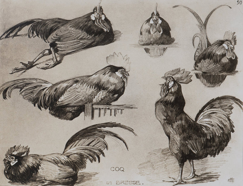 Mathurin MEHEUT : Le Coq, Lithographie signée