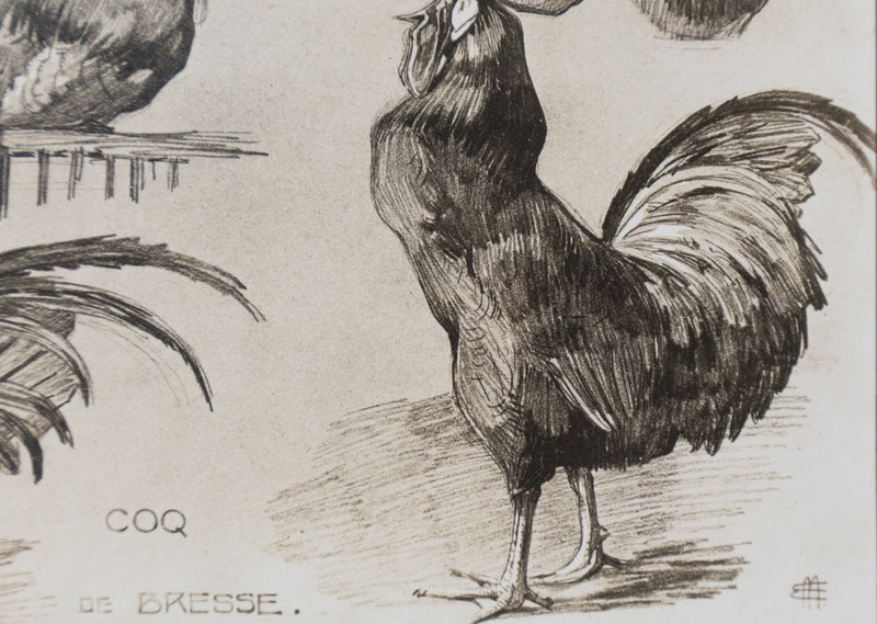 Mathurin MEHEUT : Le Coq, Lithographie signée