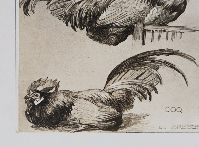 Mathurin MEHEUT : Le Coq, Lithographie signée