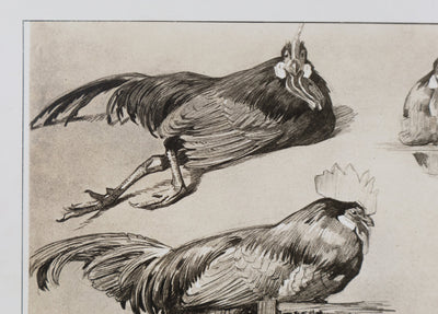 Mathurin MEHEUT : Le Coq, Lithographie signée