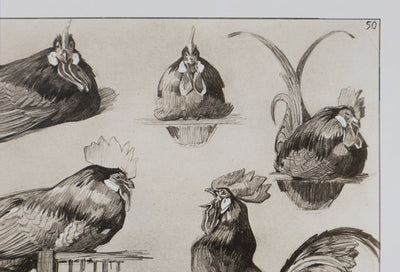 Mathurin MEHEUT : Le Coq, Lithographie signée