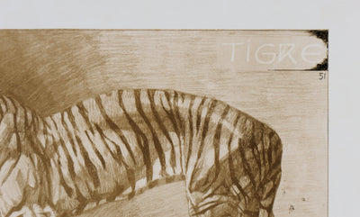 Mathurin MEHEUT : Le Tigre , Lithographie