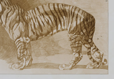 Mathurin MEHEUT : Le Tigre , Lithographie