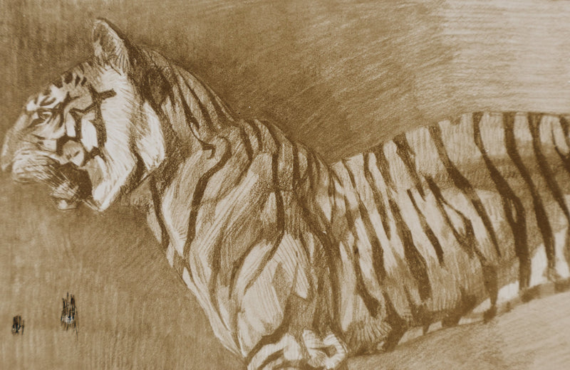 Mathurin MEHEUT : Le Tigre , Lithographie