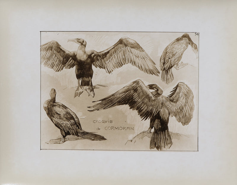 Mathurin MEHEUT : Le Cormoran , Lithographie