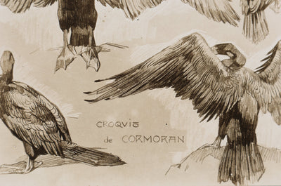 Mathurin MEHEUT : Le Cormoran , Lithographie