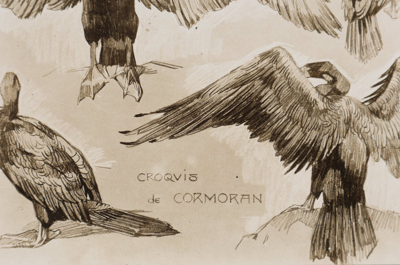 Mathurin MEHEUT : Le Cormoran , Lithographie