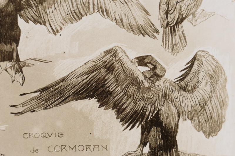 Mathurin MEHEUT : Le Cormoran , Lithographie