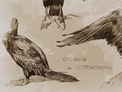 Mathurin MEHEUT : Le Cormoran , Lithographie
