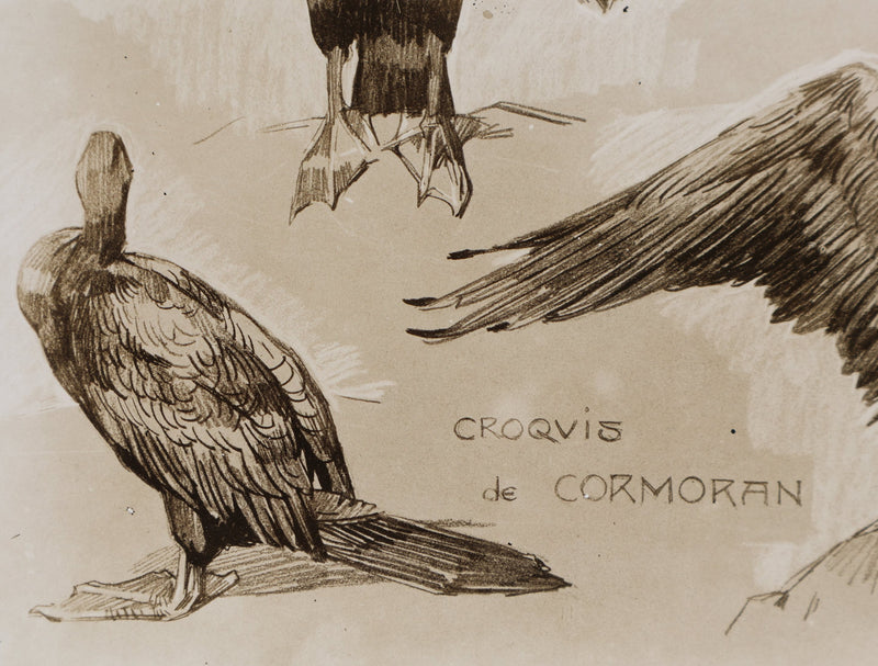 Mathurin MEHEUT : Le Cormoran , Lithographie