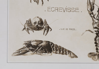 Mathurin MEHEUT : L'Écrevisse, Lithographie signée