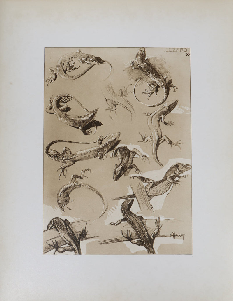 Mathurin MEHEUT : Le Lézard, Lithographie signée