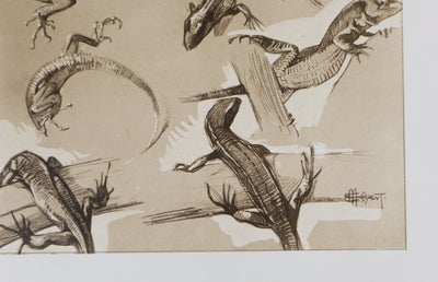 Mathurin MEHEUT : Le Lézard, Lithographie signée