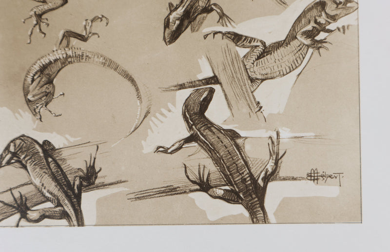 Mathurin MEHEUT : Le Lézard, Lithographie signée