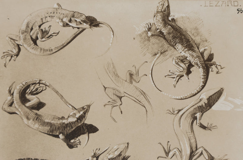 Mathurin MEHEUT : Le Lézard, Lithographie signée