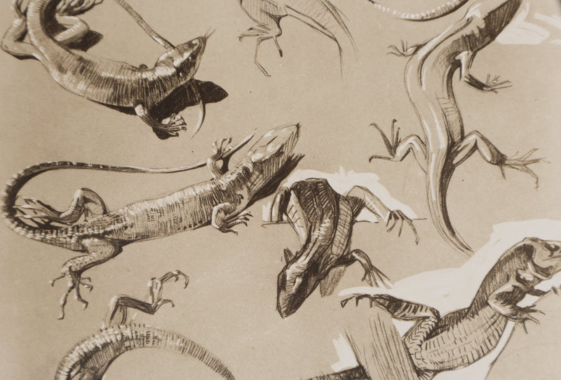 Mathurin MEHEUT : Le Lézard, Lithographie signée