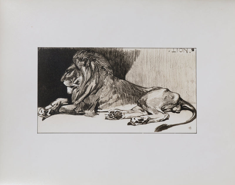Mathurin MEHEUT : Le Lion, Lithographie signée