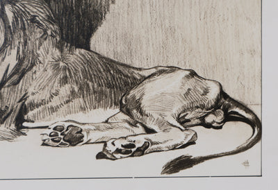 Mathurin MEHEUT : Le Lion, Lithographie signée