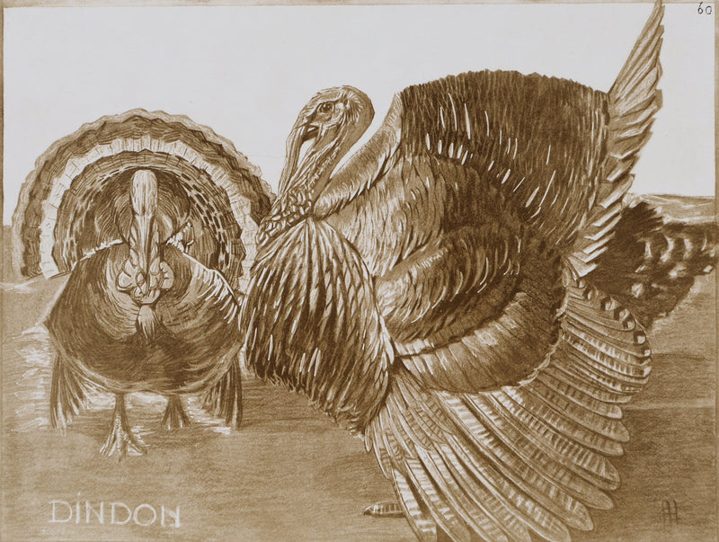Mathurin MEHEUT : Le Dindon, Lithographie signée
