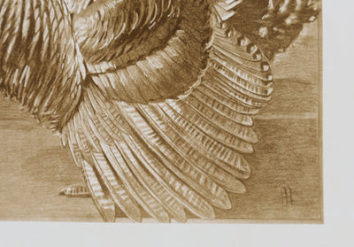 Mathurin MEHEUT : Le Dindon, Lithographie signée