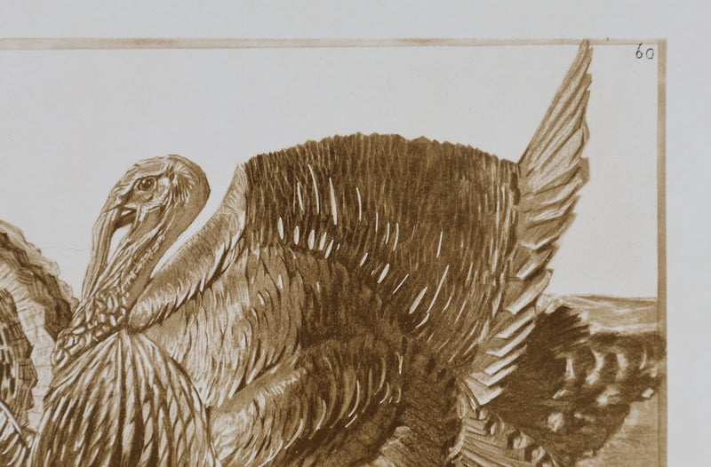 Mathurin MEHEUT : Le Dindon, Lithographie signée