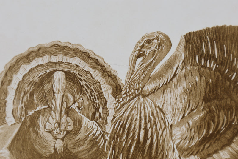 Mathurin MEHEUT : Le Dindon, Lithographie signée