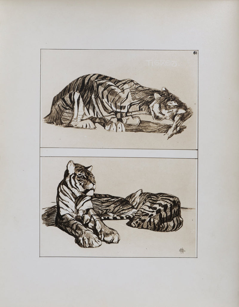 Mathurin MEHEUT : Le Tigre, Lithographie signée