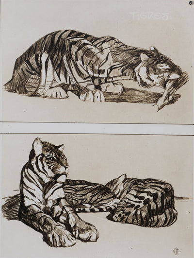 Mathurin MEHEUT : Le Tigre, Lithographie signée