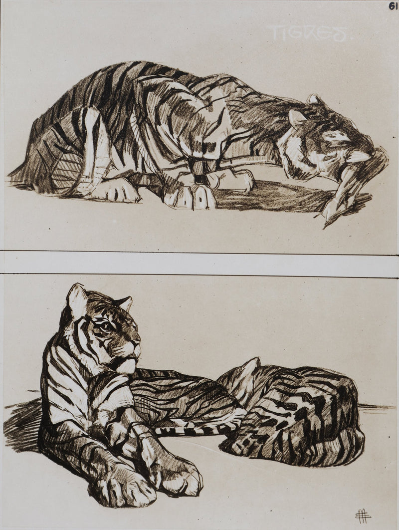 Mathurin MEHEUT : Le Tigre, Lithographie signée