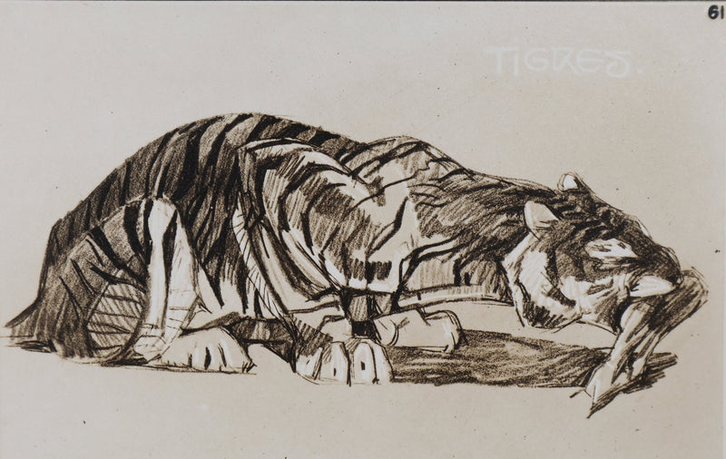 Mathurin MEHEUT : Le Tigre, Lithographie signée