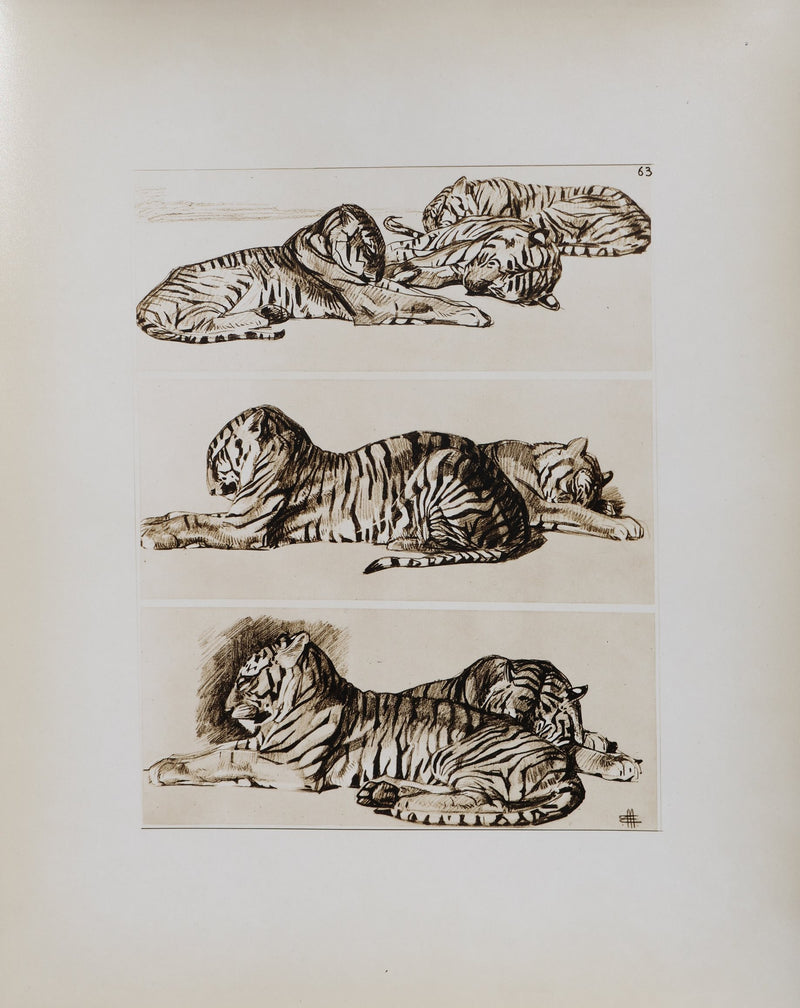 Mathurin MEHEUT : Le Tigre, Lithographie signée