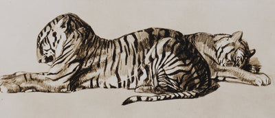 Mathurin MEHEUT : Le Tigre, Lithographie signée