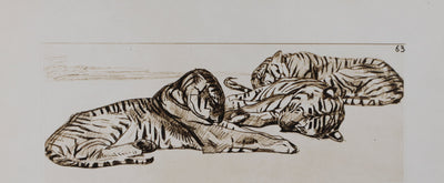 Mathurin MEHEUT : Le Tigre, Lithographie signée