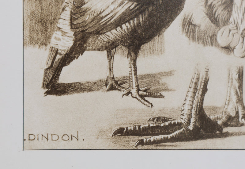 Mathurin MEHEUT : Le Dindon , Lithographie