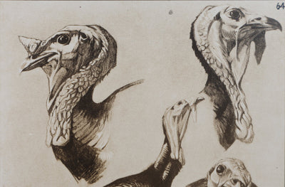 Mathurin MEHEUT : Le Dindon , Lithographie