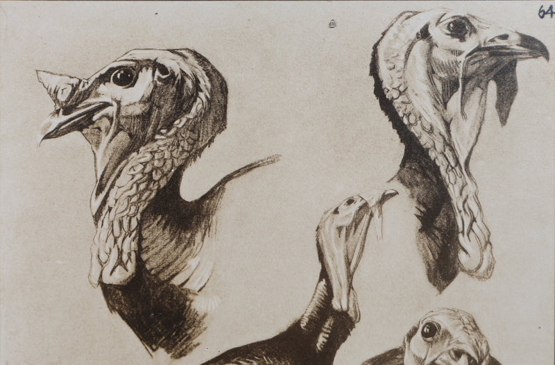Mathurin MEHEUT : Le Dindon , Lithographie