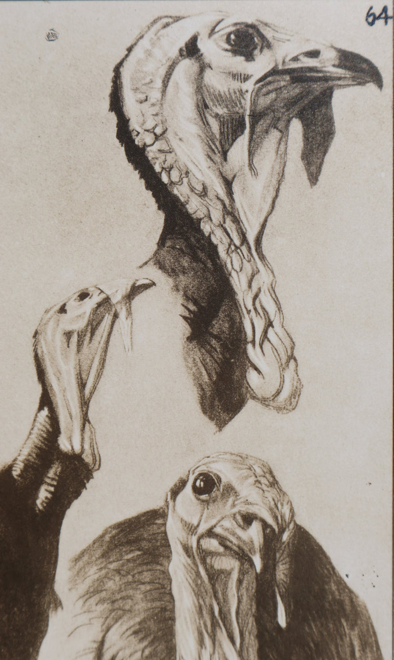Mathurin MEHEUT : Le Dindon , Lithographie
