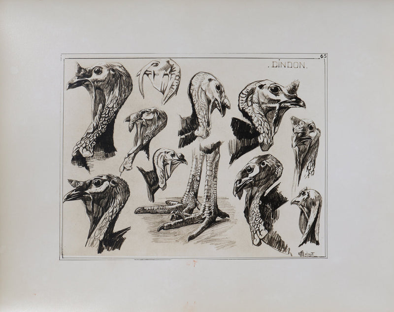 Mathurin MEHEUT : Le Dindon, Lithographie signée