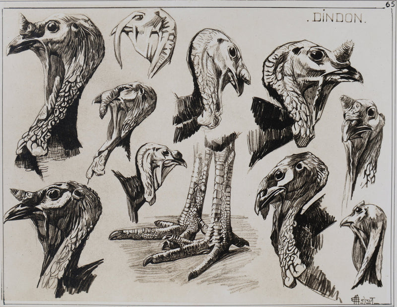 Mathurin MEHEUT : Le Dindon, Lithographie signée