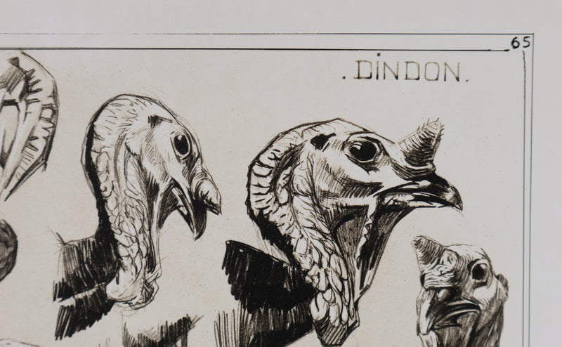 Mathurin MEHEUT : Le Dindon, Lithographie signée