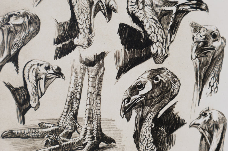 Mathurin MEHEUT : Le Dindon, Lithographie signée