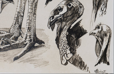 Mathurin MEHEUT : Le Dindon, Lithographie signée