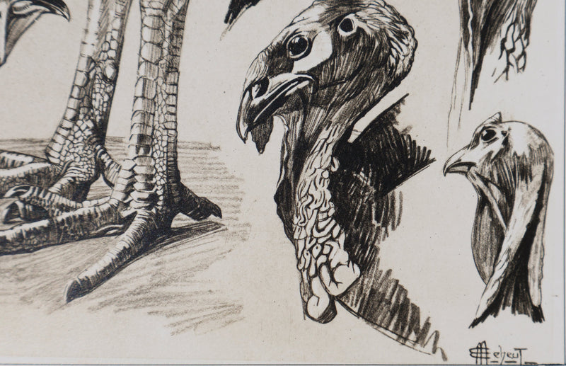 Mathurin MEHEUT : Le Dindon, Lithographie signée