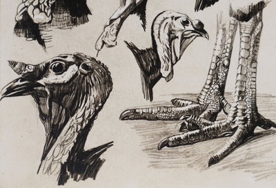 Mathurin MEHEUT : Le Dindon, Lithographie signée