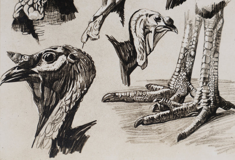 Mathurin MEHEUT : Le Dindon, Lithographie signée