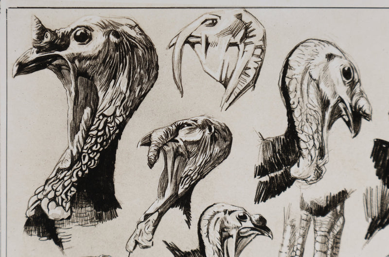 Mathurin MEHEUT : Le Dindon, Lithographie signée