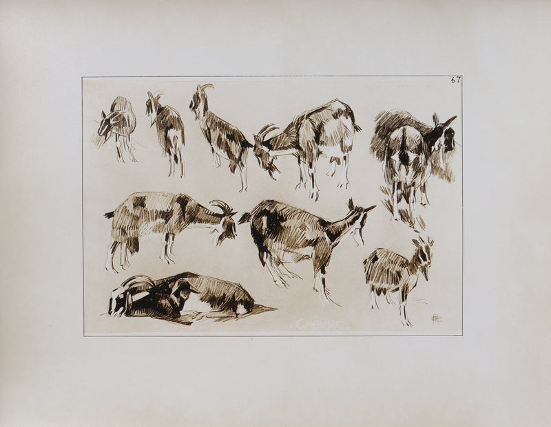 Mathurin MEHEUT : La Chèvre, Lithographie signée